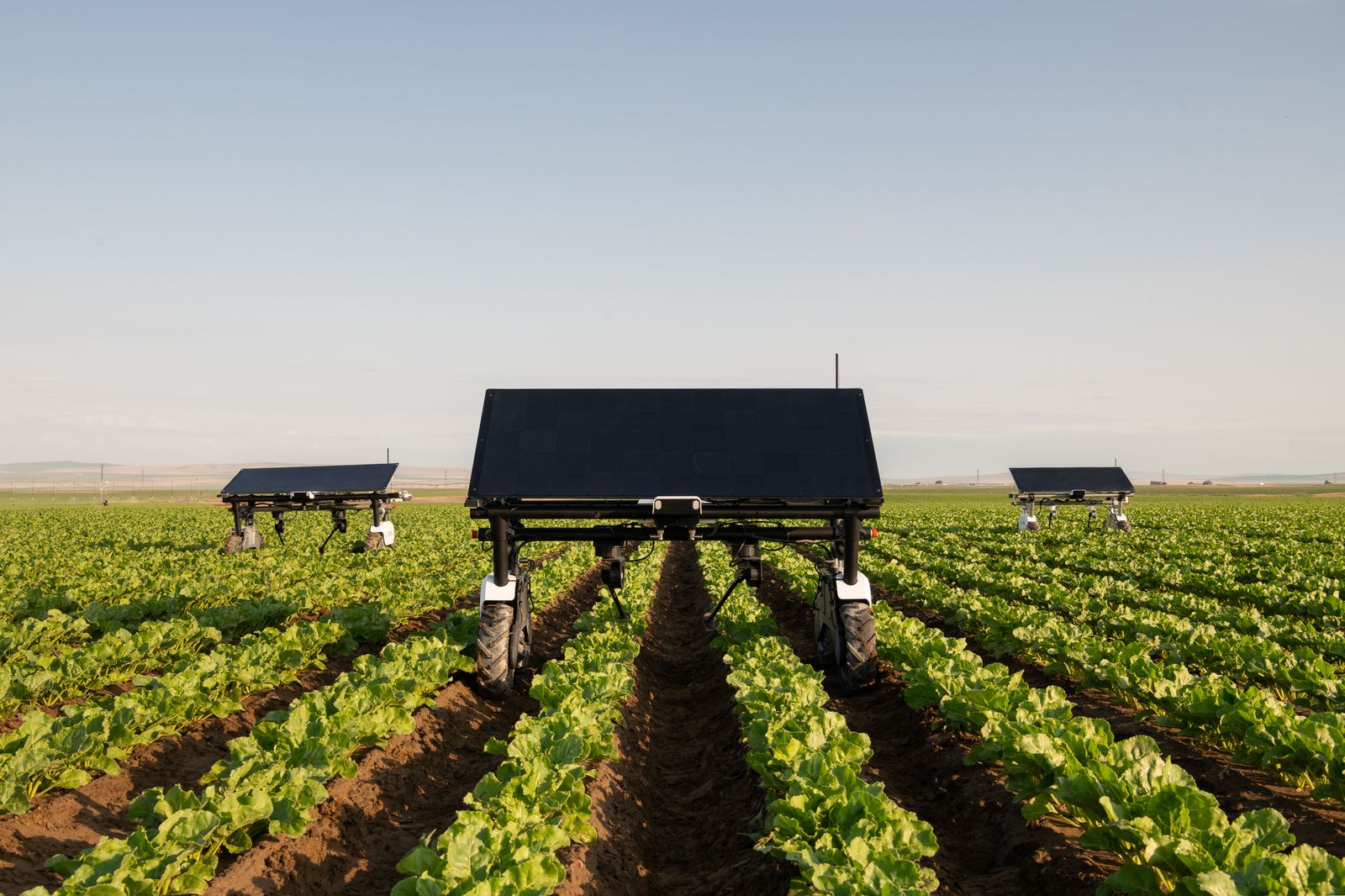 The AIGEN element autonomous weeder robot